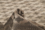 Pakistan Butterfly