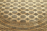 Albertine - Pakistan Bokhara