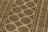 Albertine - Pakistan Bokhara