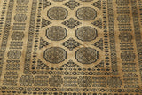 Albertine - Pakistan Bokhara