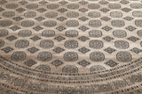 Albertine - Pakistan Bokhara