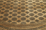 Albertine - Pakistan Bokhara