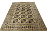 Delia - Afghan Aktscha