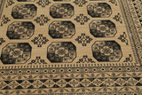 Delia - Afghan Aktscha