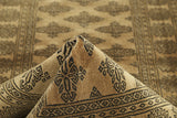 Noura - Pakistan Butterfly