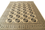 Delia - Afghan Aktscha