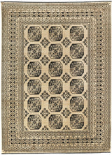 Delia - Afghan Aktscha