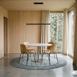 Rosalie - Pakistan Butterfly