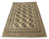 Delia - Afghan Aktscha
