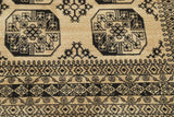 Delia - Afghan Aktscha