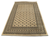 Afghan